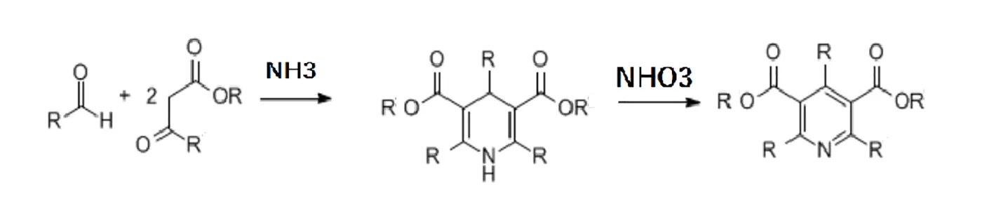 Hantzsch Dihydropyridine 合成